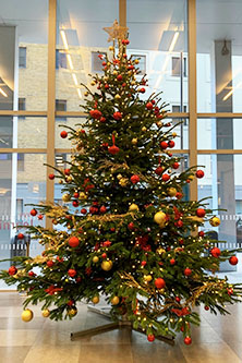 Christmas tree in the Bayes Business School reception