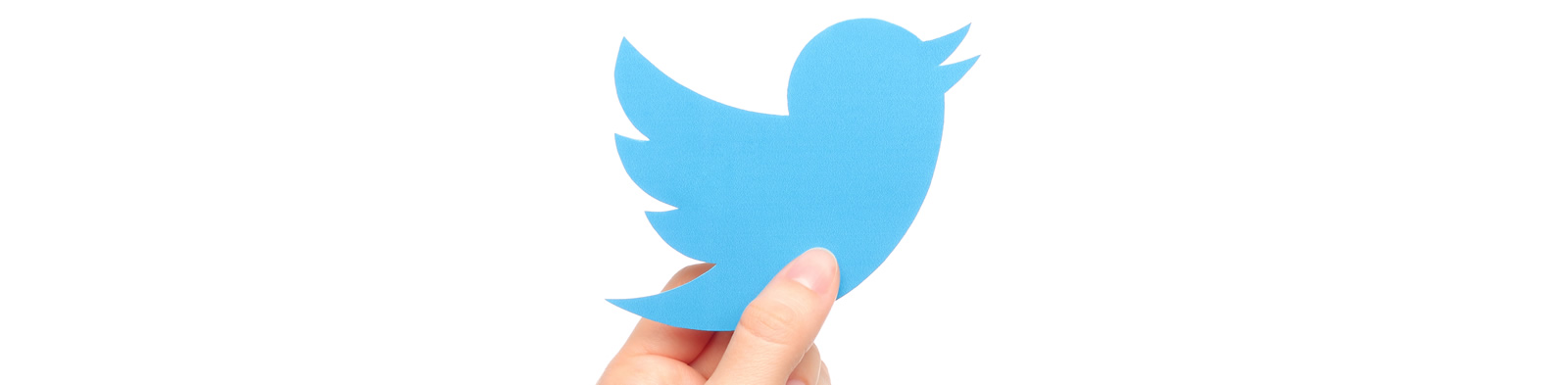 Twitter logo held aloft