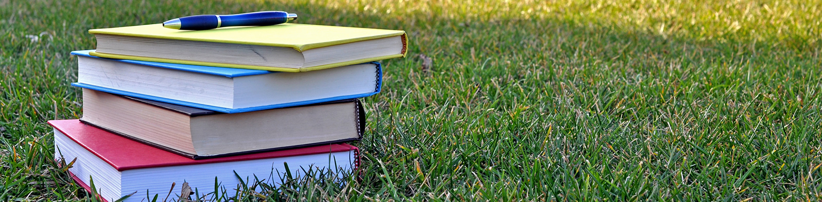 A pile of books on the grass