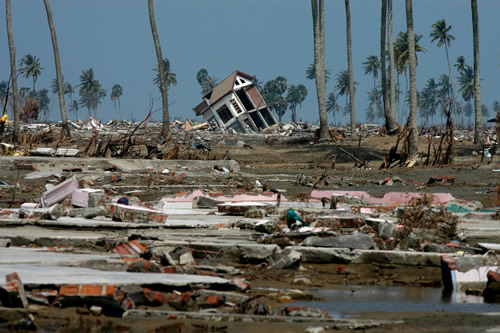 Landscape destroyed by a tsunami