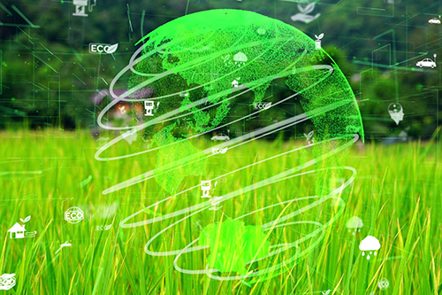 Grassy field with green globe hologram suspended in the air above