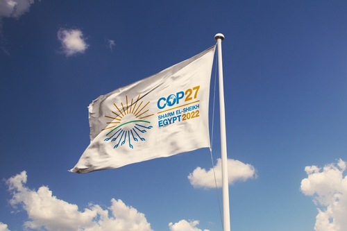 The COP27 flag waves in the wind