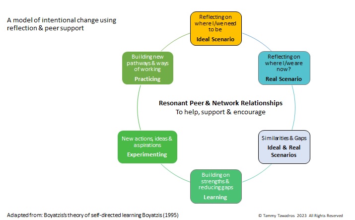 Model of intentional change using reflection and peer support. Principles flowing in a circle, detailed below. Adapted from Boyatzis’ theory of self-directed learning (1995). Copyright Tammy Tawadros. All rights reserved.