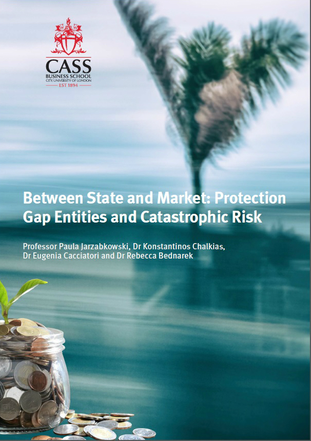 Between State and Market: Protection Gap Entities and Catastrophic Risk report pdf
