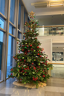 Christmas tree in the Bayes Business School reception