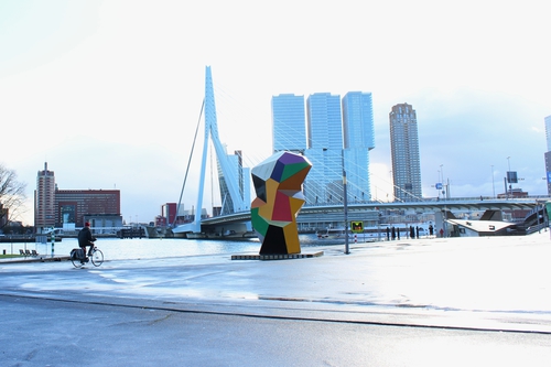 Student photo - a cold morning in Rotterdam.